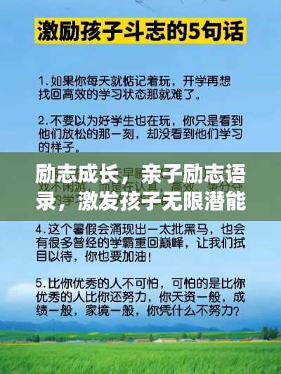 2025年6月 第114页