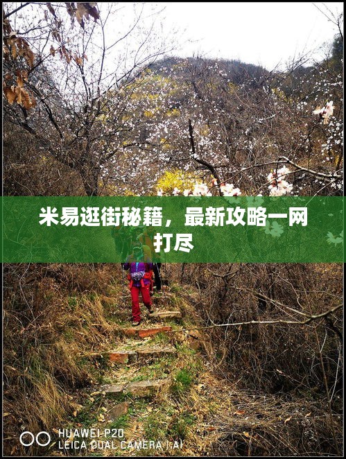 米易逛街秘籍，最新攻略一网打尽