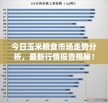 今日玉米粮食市场走势分析，最新行情报告揭秘！