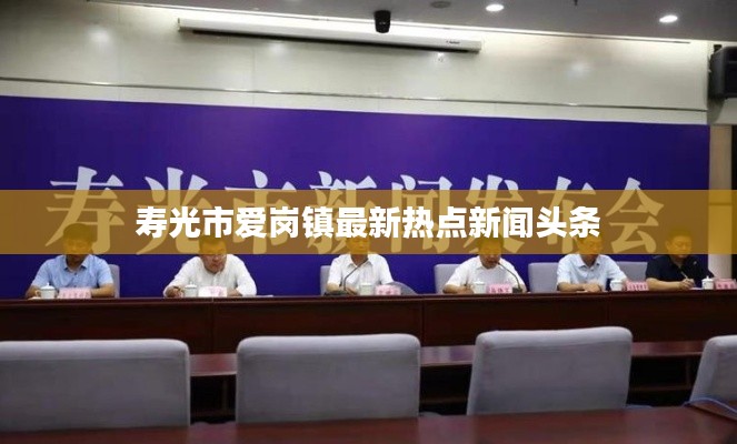 寿光市爱岗镇最新热点新闻头条