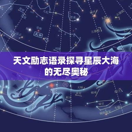 2025年6月 第63页