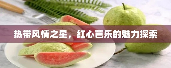 2025年6月 第57页
