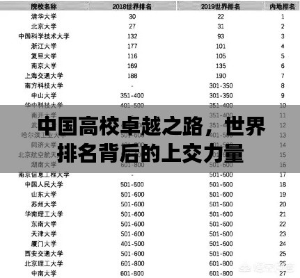 中国高校卓越之路，世界排名背后的上交力量