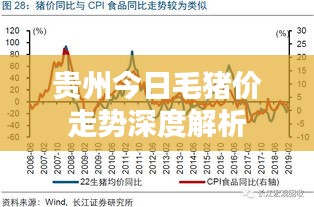 贵州今日毛猪价走势深度解析