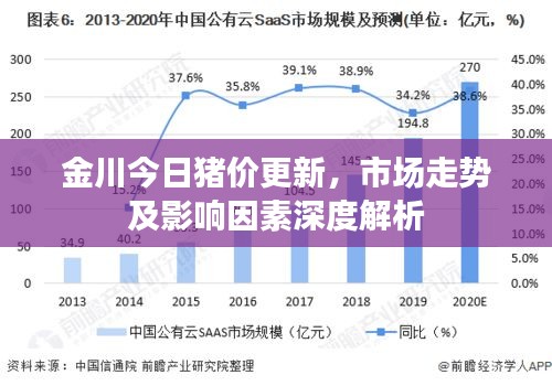 金川今日猪价更新，市场走势及影响因素深度解析