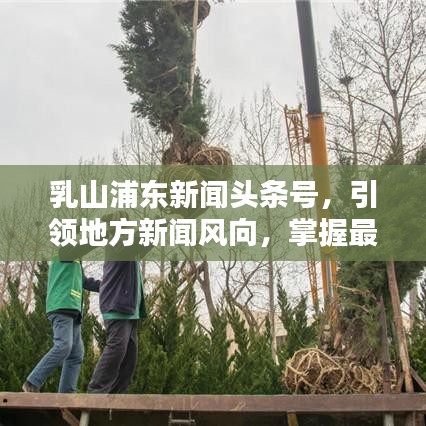 乳山浦东新闻头条号，引领地方新闻风向，掌握最新资讯动态