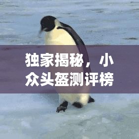 独家揭秘，小众头盔测评榜单，前十名精彩解读！