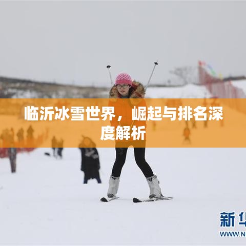 临沂冰雪世界，崛起与排名深度解析