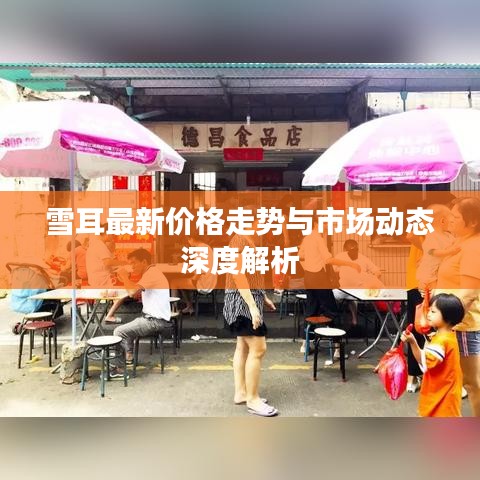 雪耳最新价格走势与市场动态深度解析