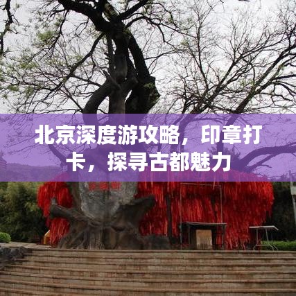 2025年6月 第31页