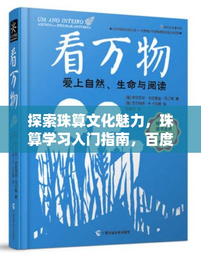 探索珠算文化魅力，珠算学习入门指南，百度带你领略珠算之美