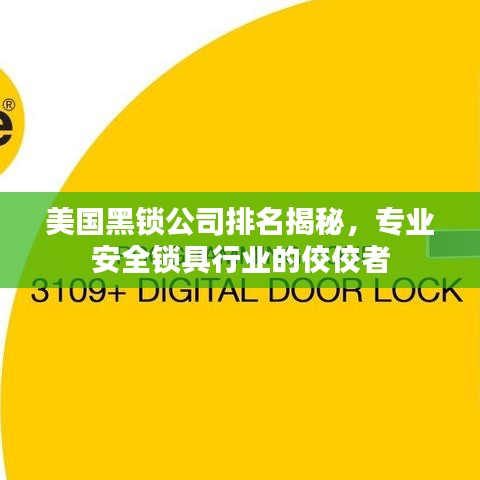 美国黑锁公司排名揭秘，专业安全锁具行业的佼佼者