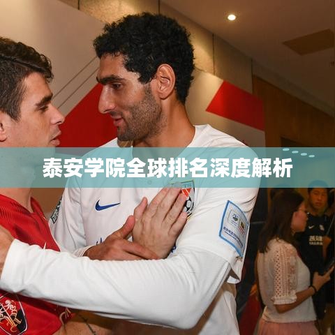 泰安学院全球排名深度解析